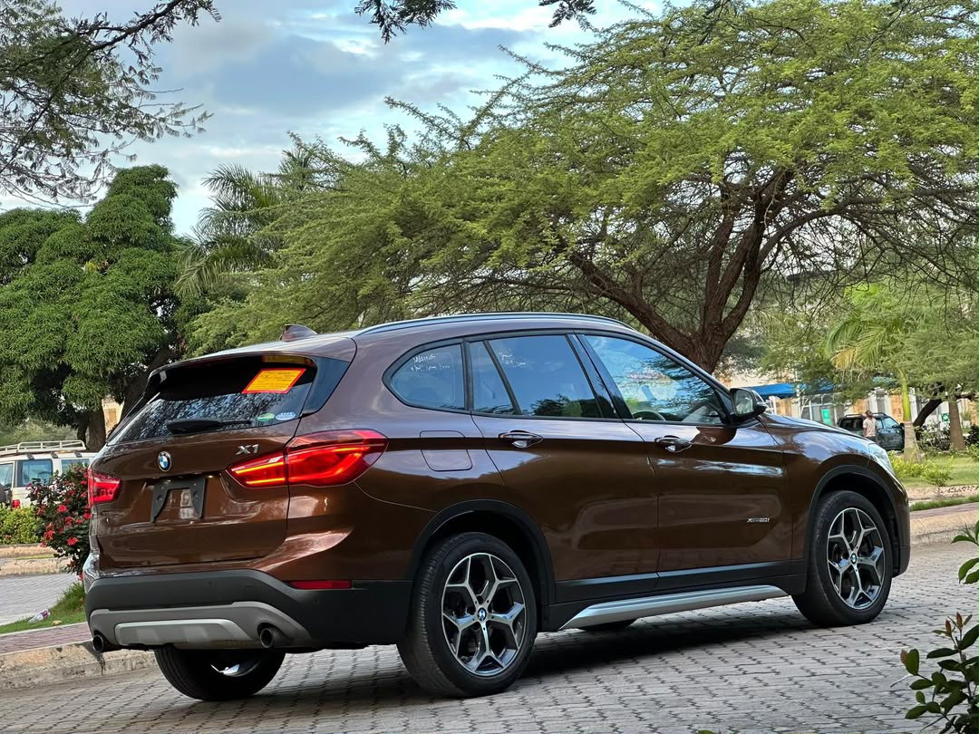 BMW X1 SERIES thumbnail 11